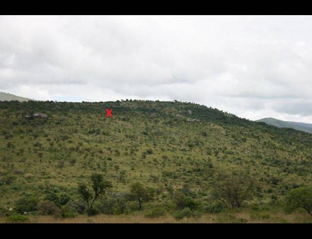 FARM FOR SALE IN LYDENBURG RURAL